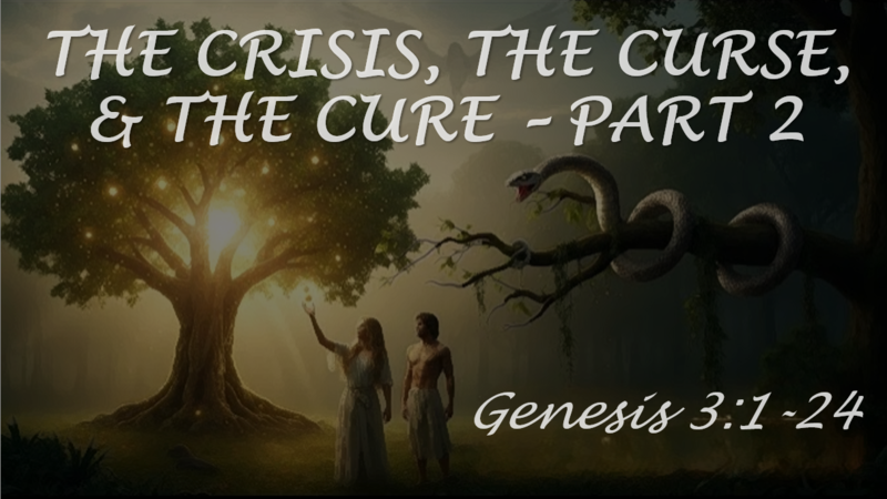 The Crisis, The Curse, & The Cure, Pt 2