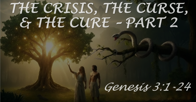 The Crisis, The Curse, & The Cure, Pt 2