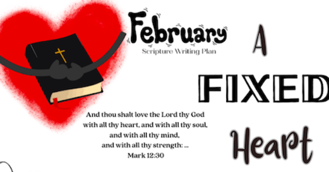 February Writing Plan