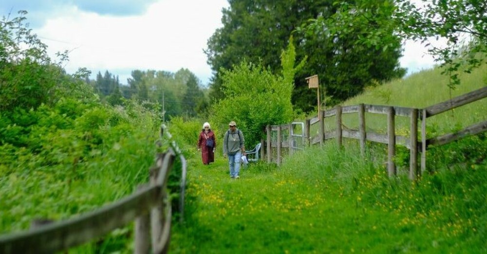 Salal & Cedar: Theology of Land webinar