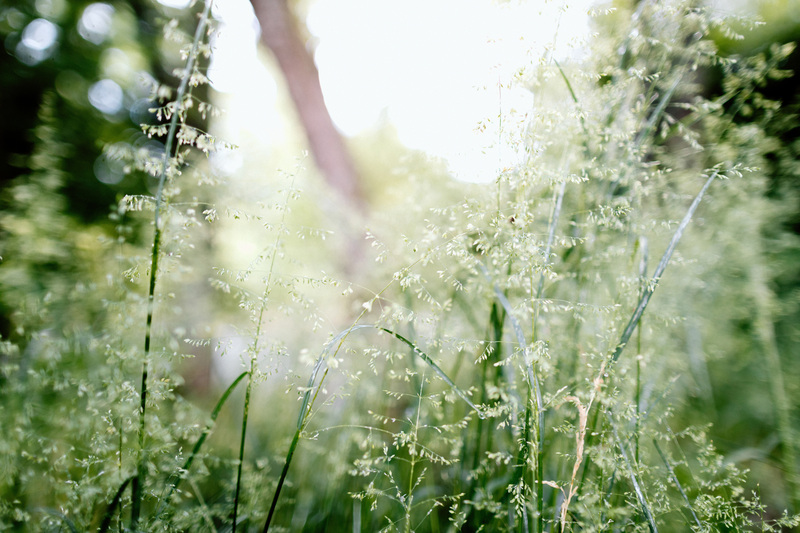 Guest Pastor, Tim Conrad