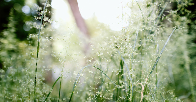 Guest Pastor, Tim Conrad