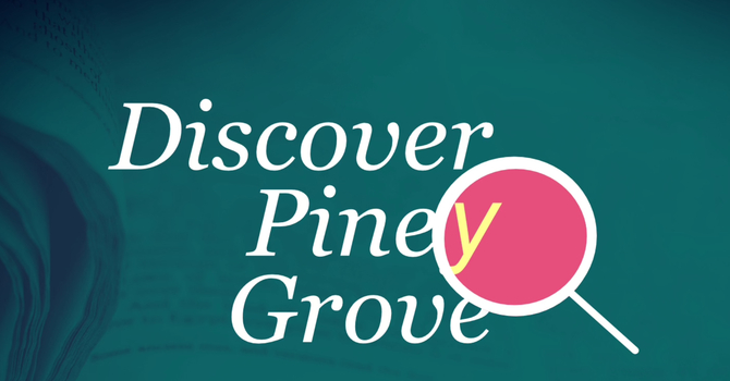 Discover Piney Grove
