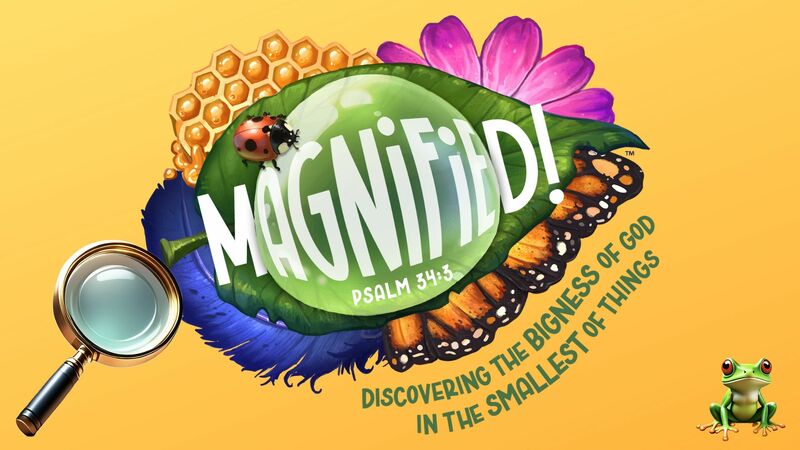 Magnifying the Bigness of God in the Smallest of Things