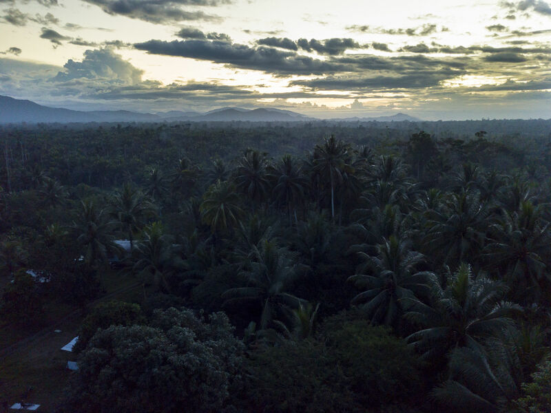 What the Bible Says About...Death