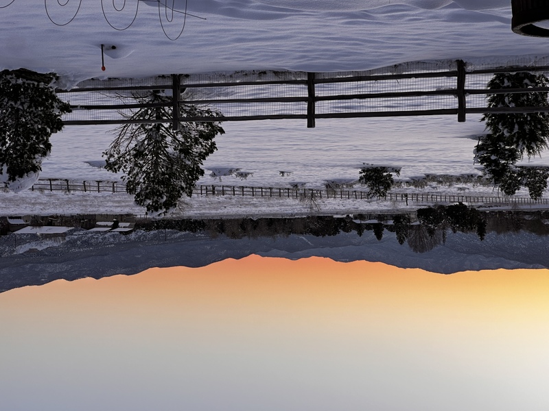 "Why are You Silent, God?"