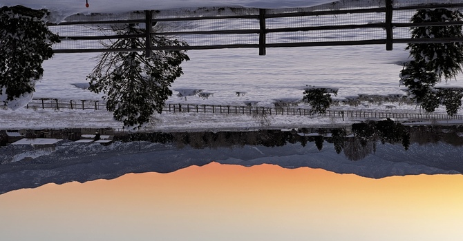 "Why are You Silent, God?"