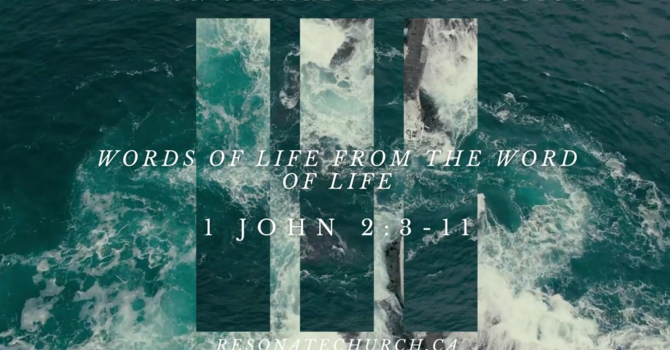 Newton's Third Law Of Motion