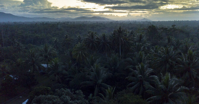 What the Bible Says About...Death