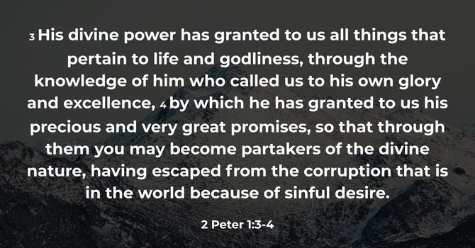 2 Peter 1:3-4 image