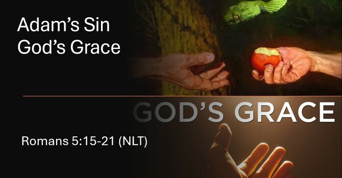 "Adam's Sin, God's Grace"