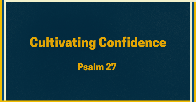 Cultivating Confidence