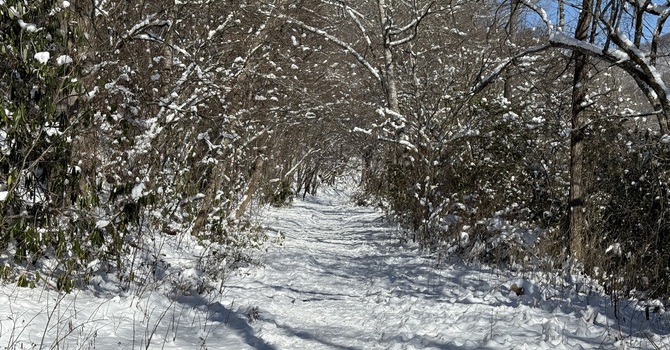 Ash Wednesday Morning Drive Through Ashes
