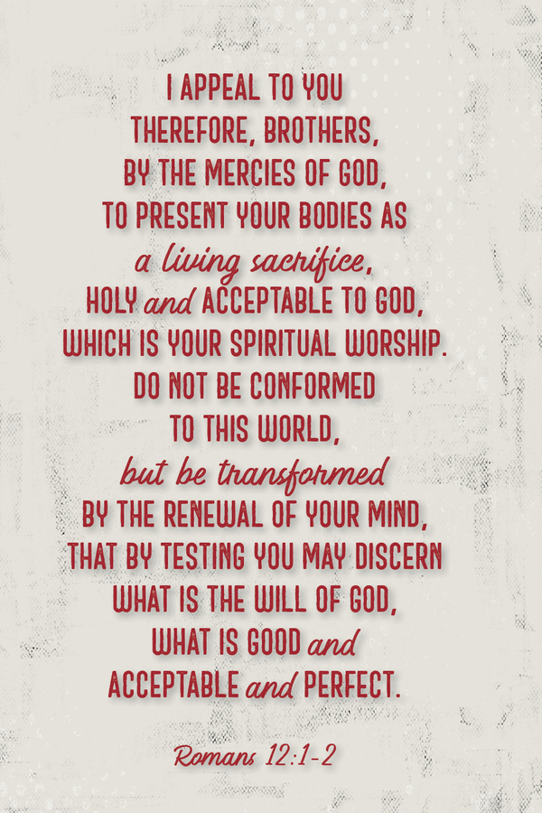 Fighter Verse, February 1, 2026