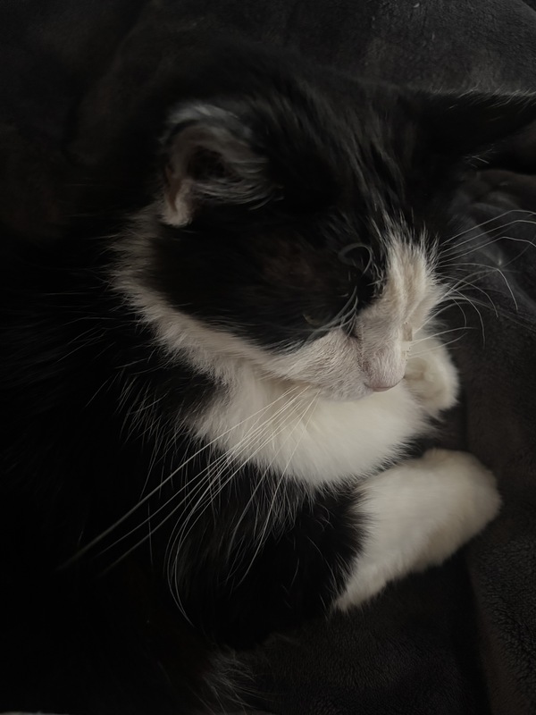 Thoughts from Pastor Eilidh