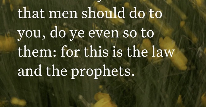 A Look in the Mirror  image