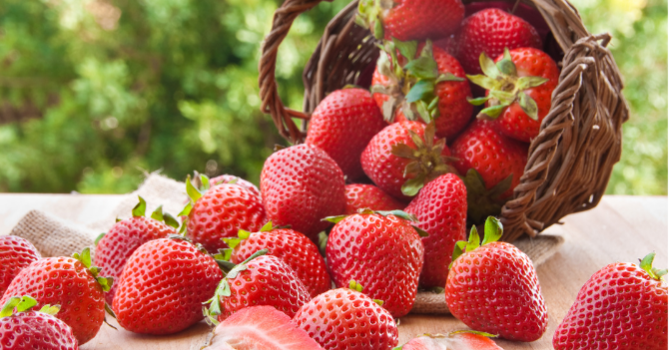 Strawberry Festival Committee
