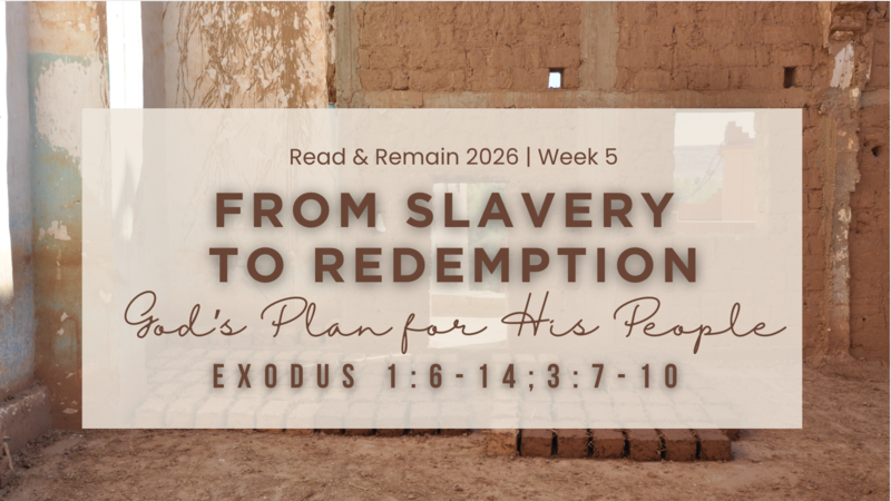 From Slavery to Redemption