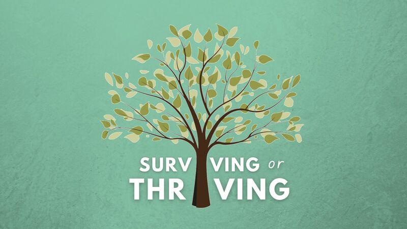 How to Thrive