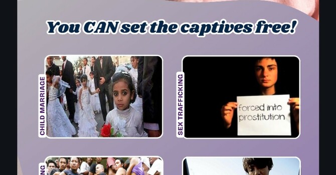 CAN Abolition Advocate