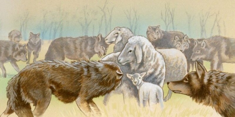 You Will Be Persecuted