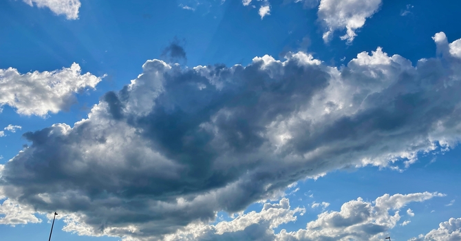 Fellowship Luncheon & Missionary Chat