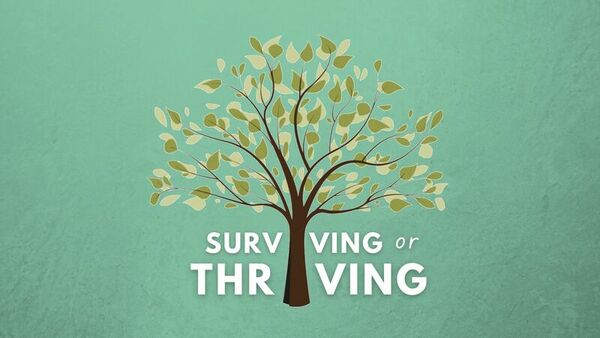 Surviving or Thriving