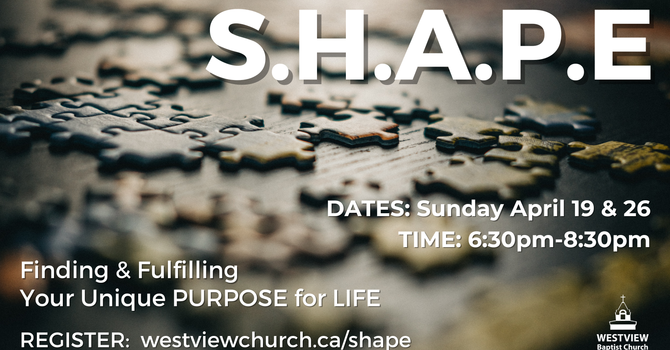 S.H.A.P.E. Workshop