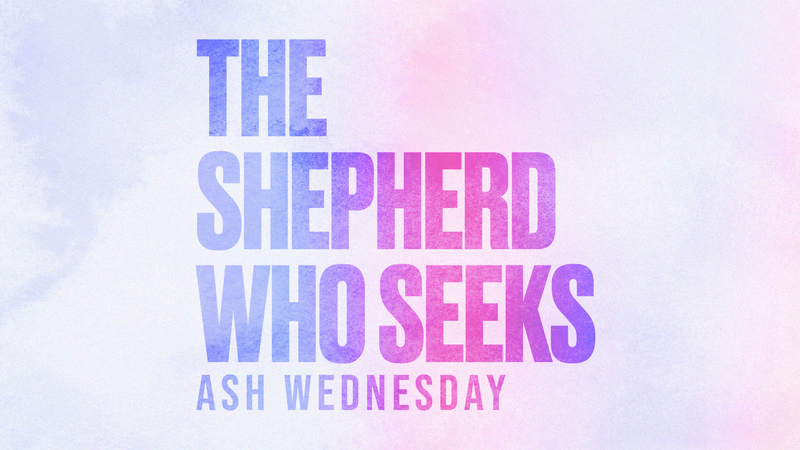 The Shepherd Who Seeks