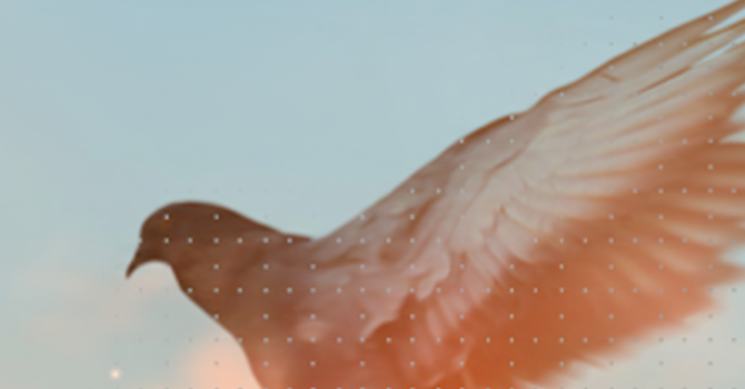 幸福專訪影片更新