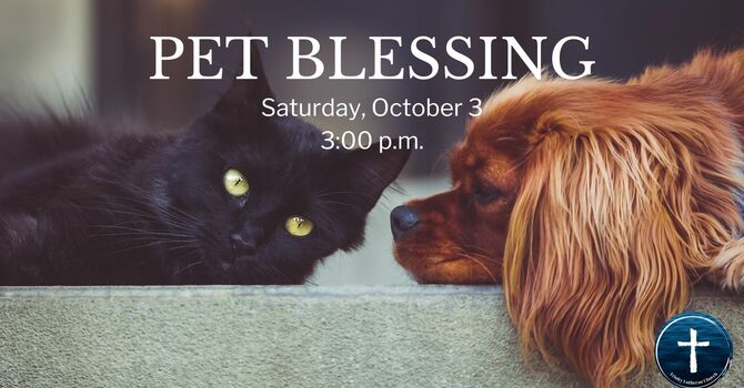 Pet Blessing