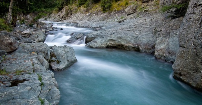 February 5, 2026 Devotion image