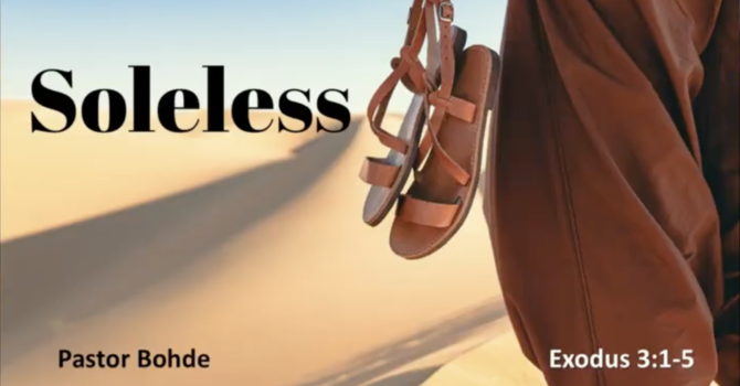 "Soleless"
