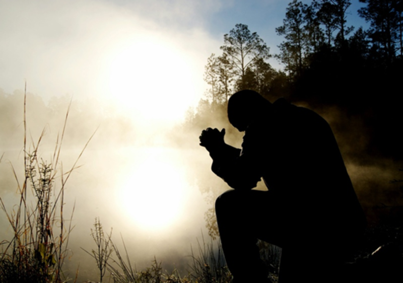 Rev. Karen's reflection for February 8th, 2026