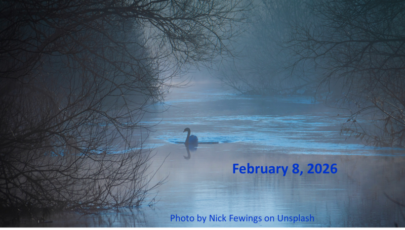 Sermon:  “Do a Good Turn Daily”