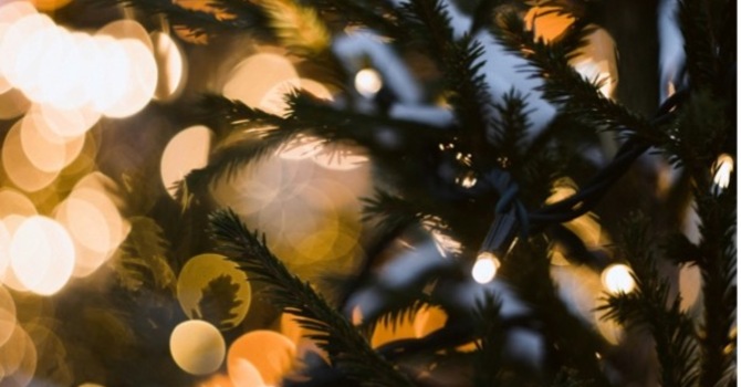 Merry Christmas & Happy New Year!