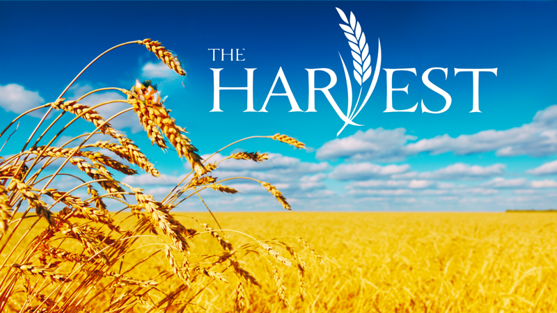 Be a Part of the World Harvest