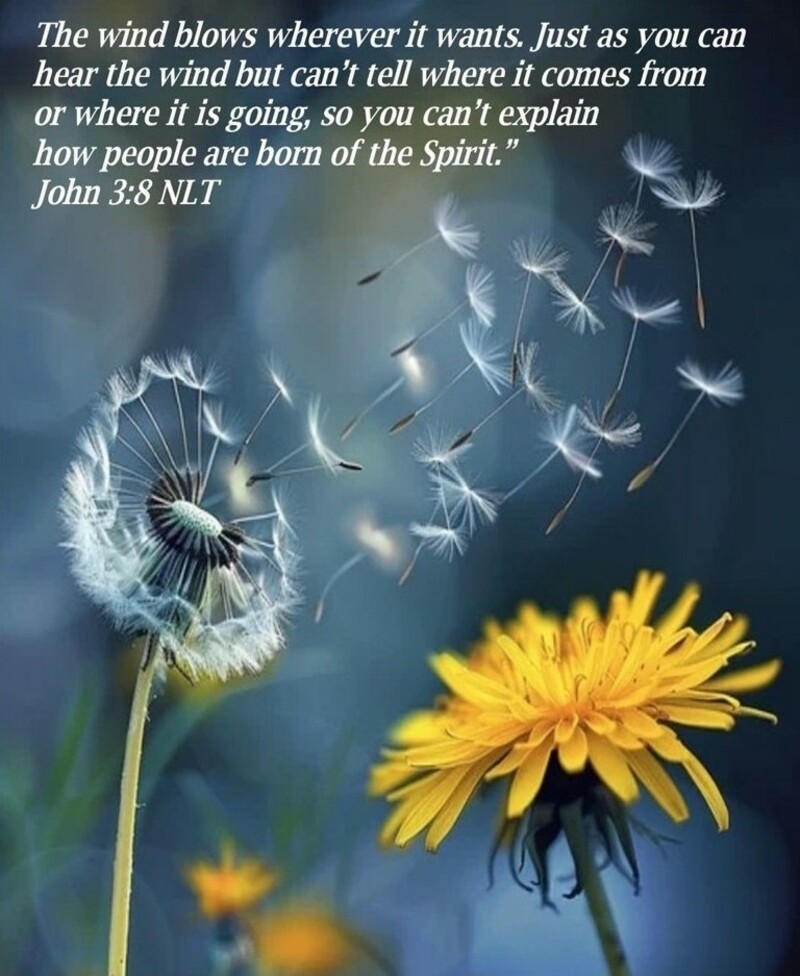 John 3.3 Born of Water and the Spirit - Part 2