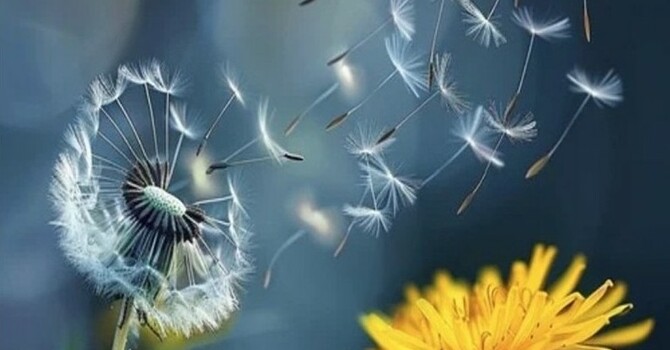 John 3.3 Born of Water and the Spirit - Part 2