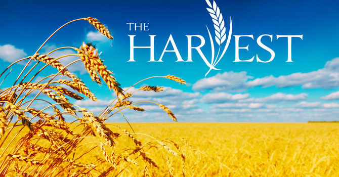 Labor For the Harvest