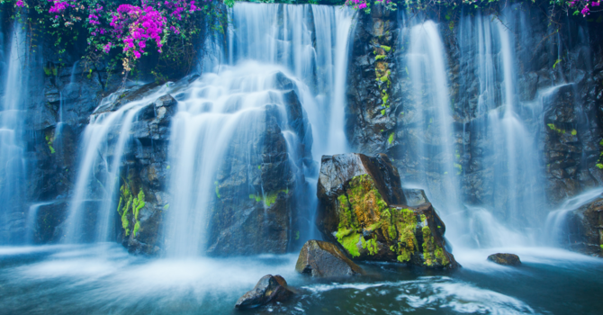 The River Revival Conference Celebration 2026