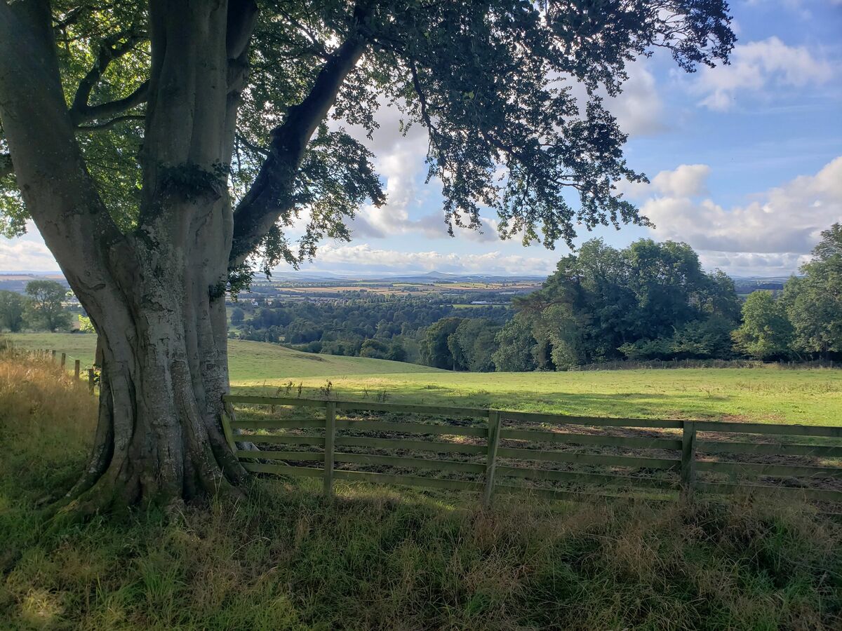 Lone Jack Baptist Church