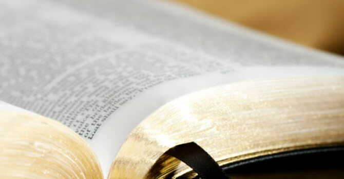 Weekly readings Feb 9-14 image