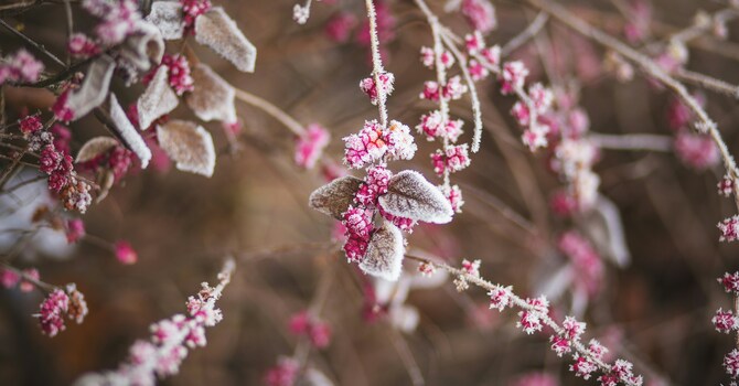 News for Feb 6, 2026