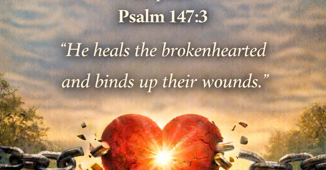 Freedom Grows Where Wounds Are Addressed image