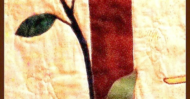 Friday Focus February 6, 2026