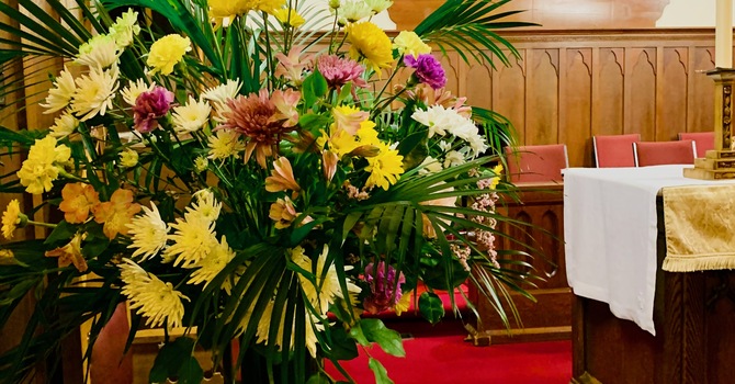 St. Francis-in-the Wood Vestry Meeting 2026