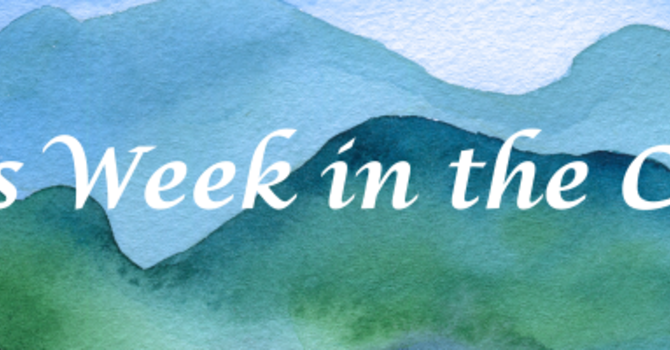 This Week in the Cove