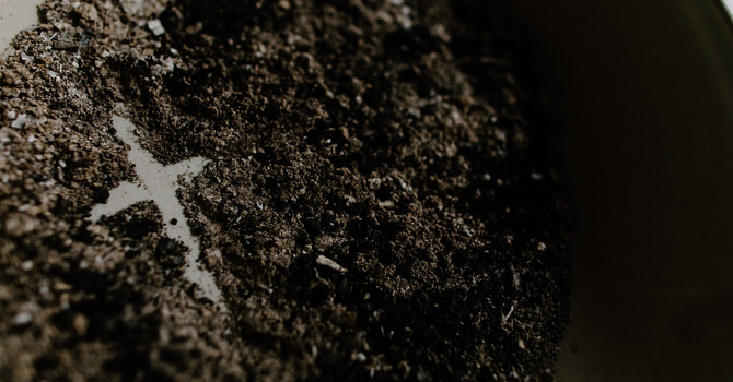 Ash Wednesday Service