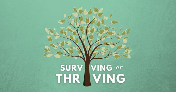 How to Thrive